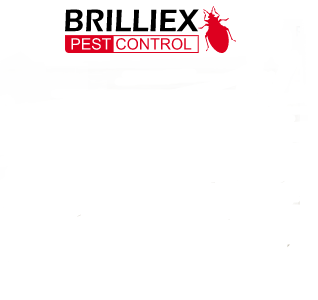 Brilliex Pest Control