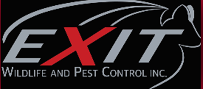 Exit Wildlife and Pest Control Inc.